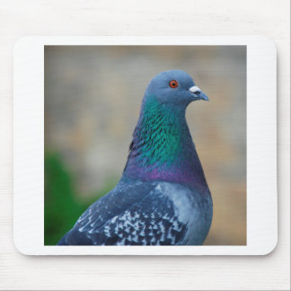 Pigeon Mouse Pad