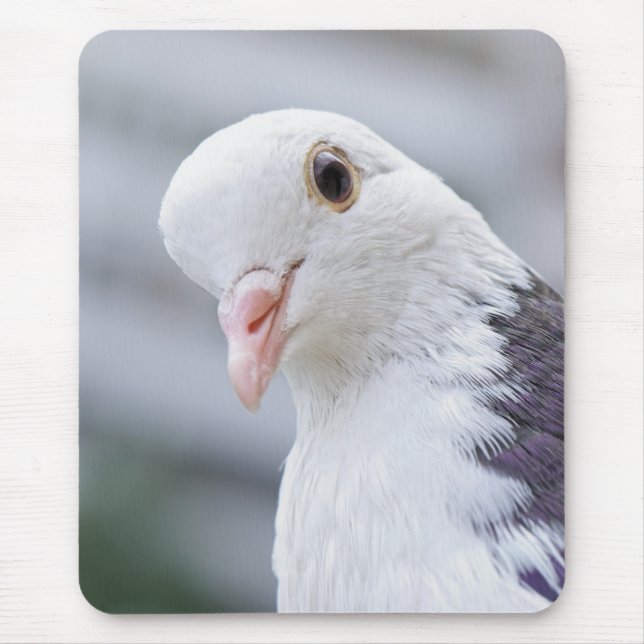 Pigeon Mouse Pad (Front)