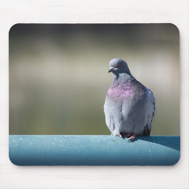 Pigeon Mouse Pad (Front)