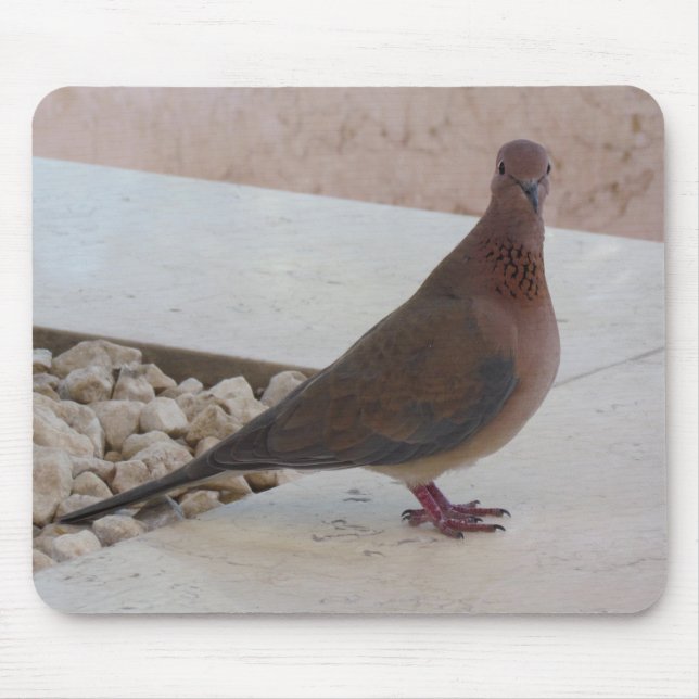 Pigeon mousepad, customisable mouse pad (Front)