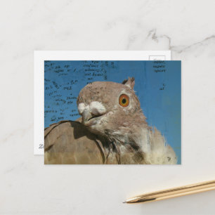 Pigeon named Mr. Pigeon Abstract Words Postcard