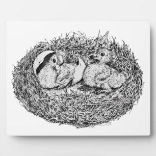Pigeon Nest Babies Plaque