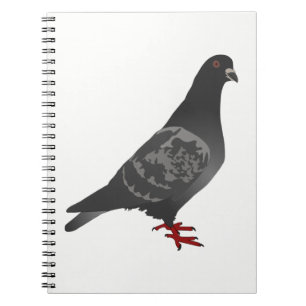 Pigeon Notebook