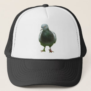 Pigeon on a hat