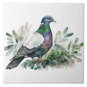 Pigeon On A Spruce Tree Ceramic Tile