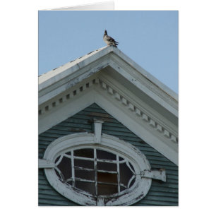 Pigeon on Old House