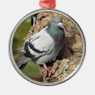 Pigeon Ornament