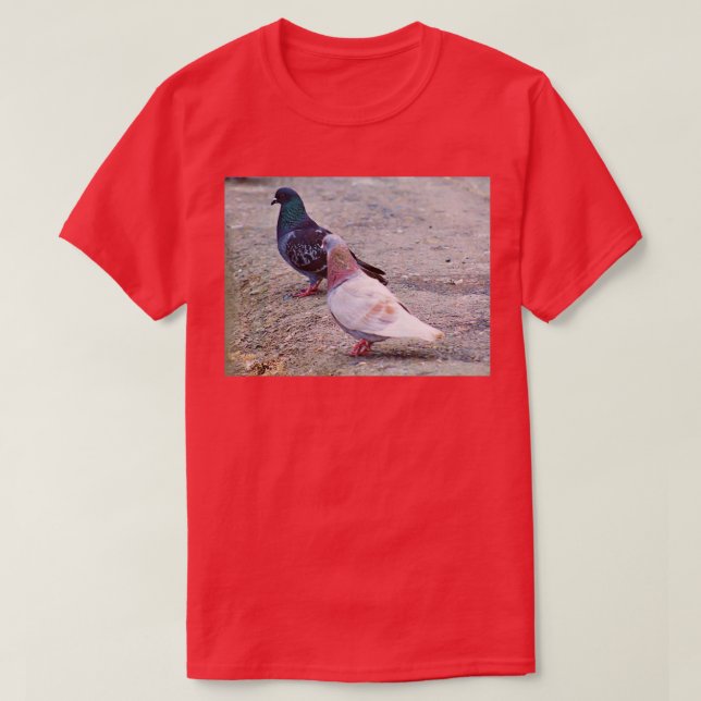 Pigeon Pair 2 T-Shirt (Design Front)