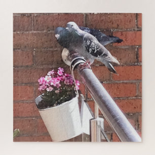 Pigeon Pair and Pink Flowers Jigsaw Puzzle