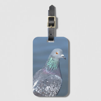 Pigeon Partner Luggage Tag