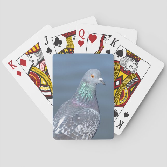Pigeon Partner Playing Cards (Back)