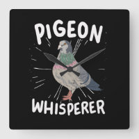 Pigeon - Pigeon Whisperer