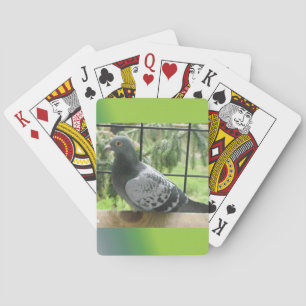 Pigeon Playing Cards