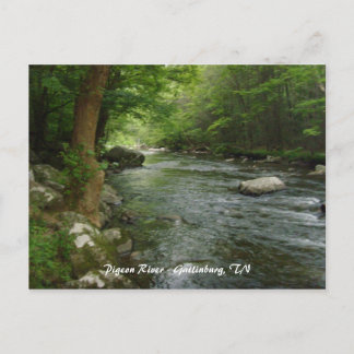 Pigeon River - Gatlinburg, TN Postcard