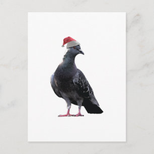 Pigeon Santa Hat Holiday Postcard