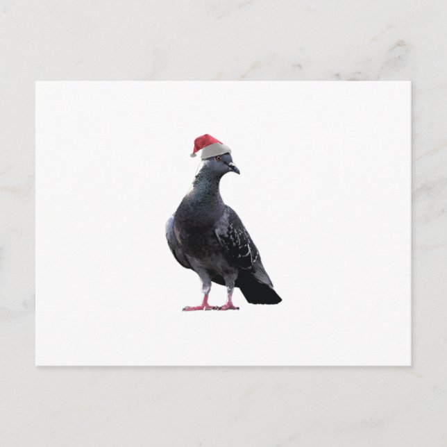 Pigeon Santa Hat Holiday Postcard (Front)