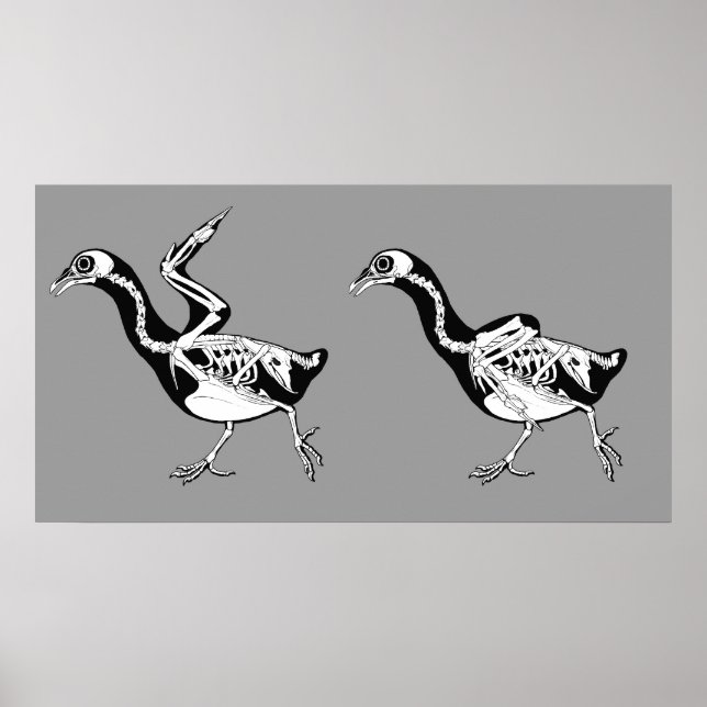 Pigeon Skeletals Print (Front)