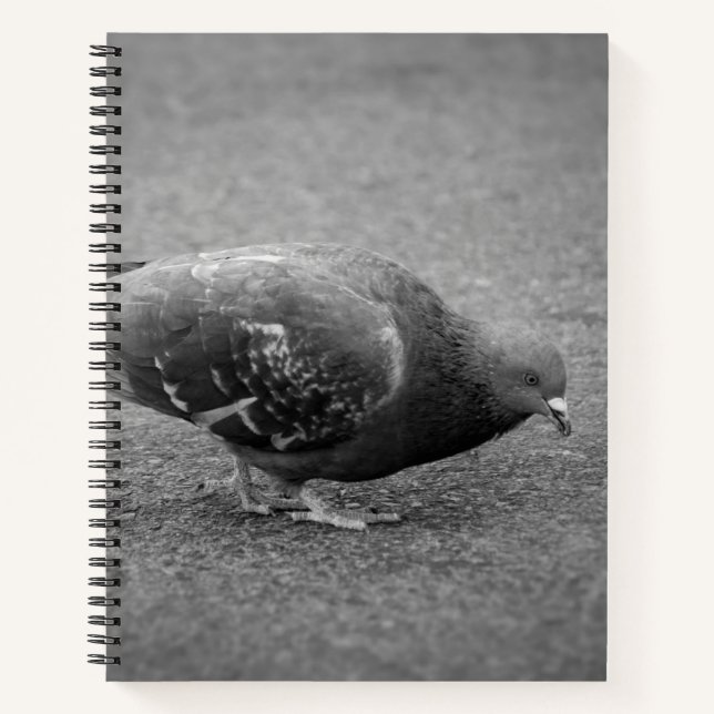 Pigeon Spiral Notebook  (Front)