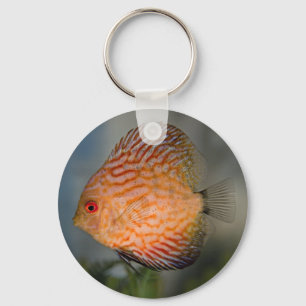 Pigeon Stone Discus Keyring