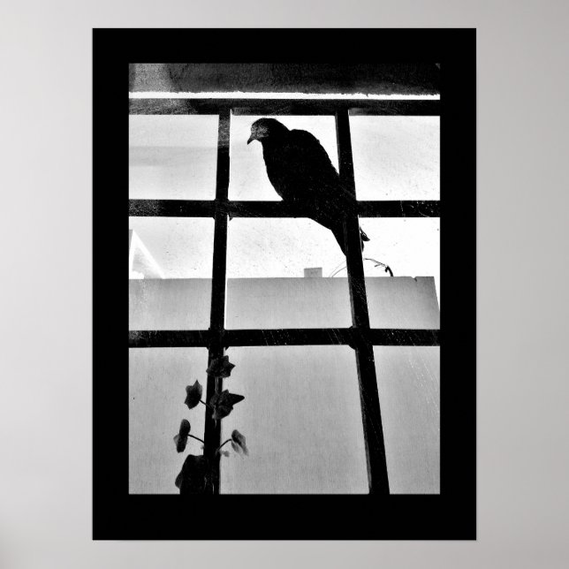 Pigeon Thoughts Poster (Front)