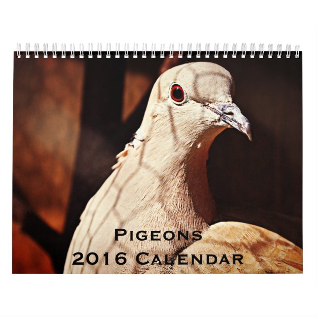 Pigeons 2016 Calendar (Cover)