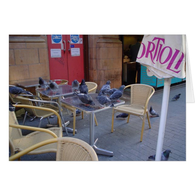 Pigeons at Lunch (Front Horizontal)