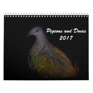 Pigeons & Doves 2017 Calendar