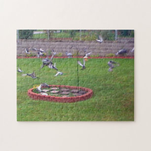 Pigeons Landing Taking Off Birds Feeder Puzzle