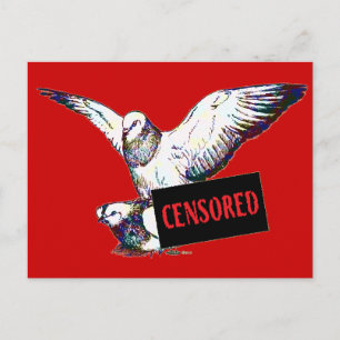 Pigeons Mating: Censored! Postcard
