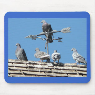 pigeons mouse pad