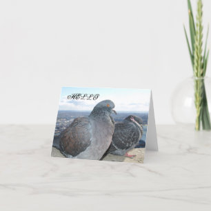 Pigeons Note Card