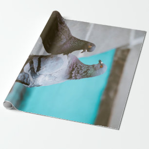 Pigeons Wrapping Paper