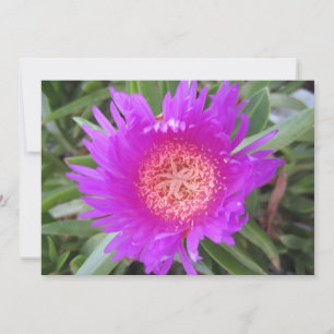Pigface Flat Holiday Card