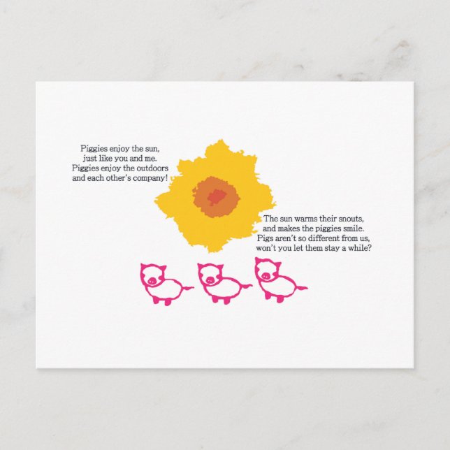 Piggies Enjoy the Sun Postcard (Front)