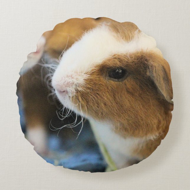 Piggies Round Cushion (Front)