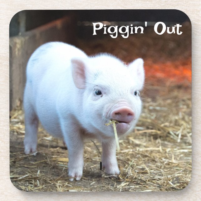 Piggin' Out Farm Life Hard Plastic Coaster (Front)