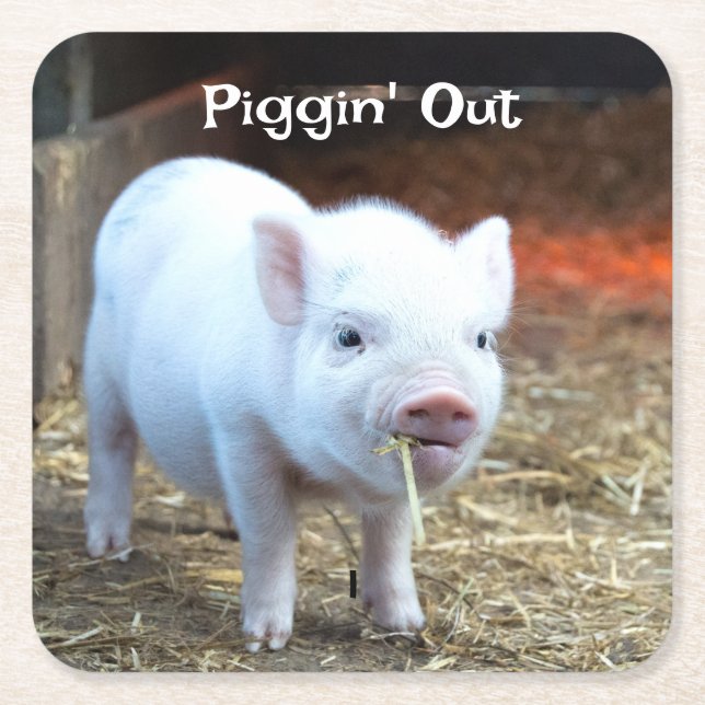 Piggin' Out Farm Life Square Paper Coaster (Front)