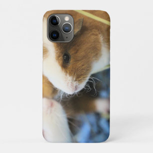 Piggy iPhone 11 Pro Case