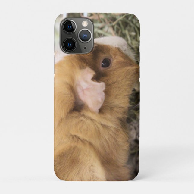 Piggy     Case-Mate iPhone case (Back)