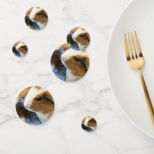 Piggy Confetti