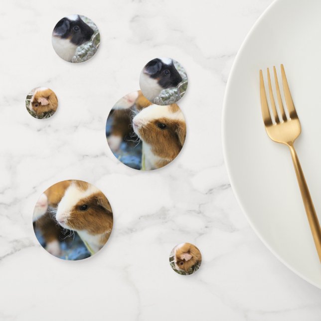 Piggy Confetti (Group)