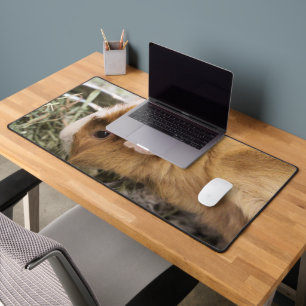 Piggy desk mat