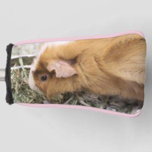Piggy Golf Head Cover