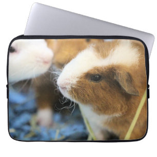 Piggy Laptop Sleeve