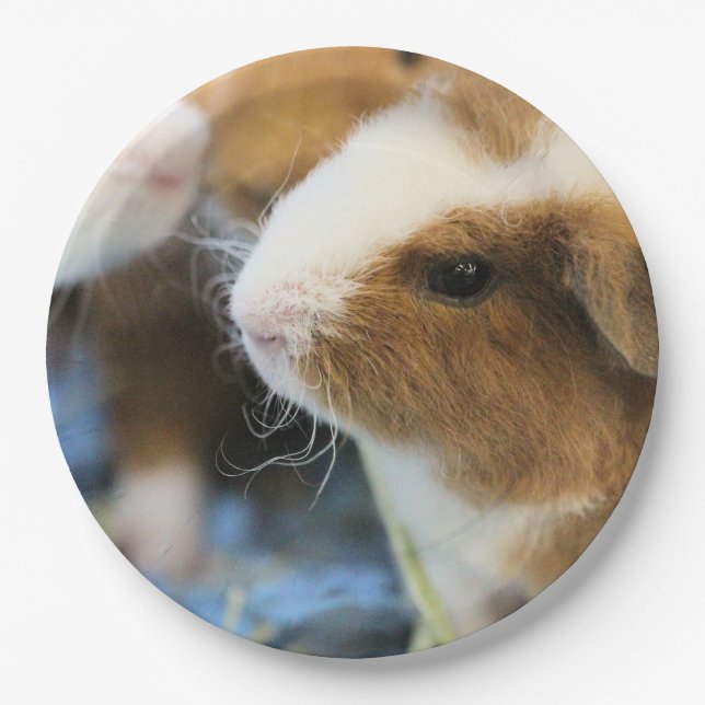 Piggy Paper Plate (Front)