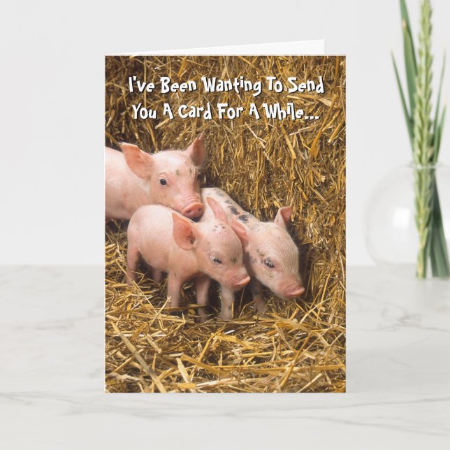 Piggy Pigs Piglet Thinking of You Card (Front)