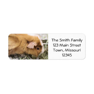 Piggy Return Address Label