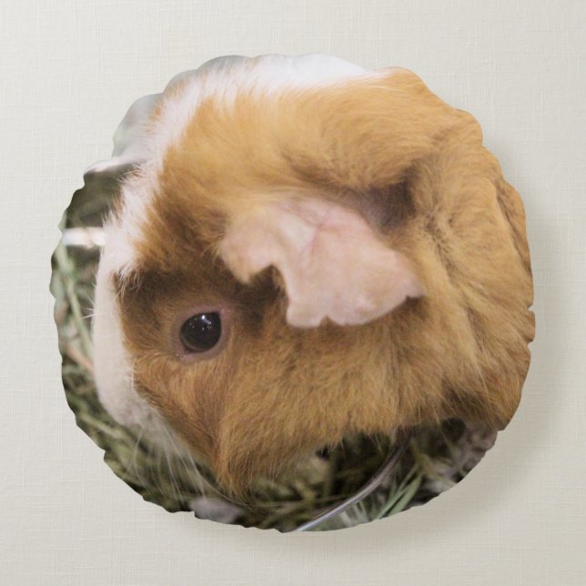 Piggy Round Cushion (Front)