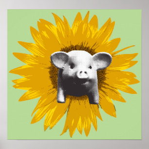 Piggy Sunflower Poster