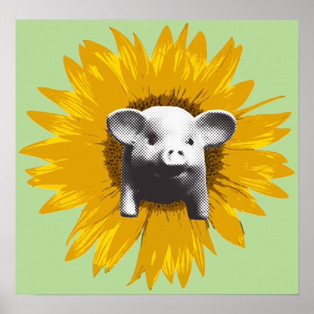 Piggy Sunflower Poster (Front)